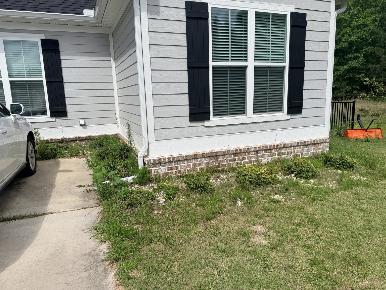 Overgrown landscape bed before