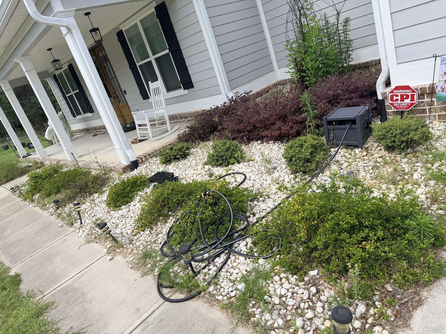 Landscape bed before cleanup