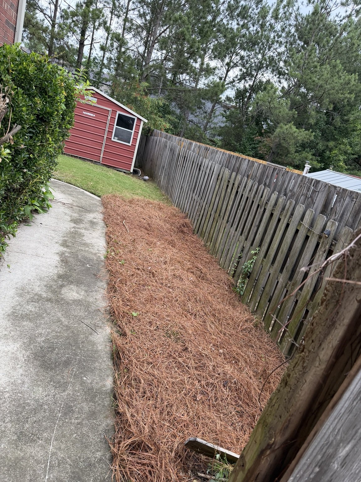 Pine straw installation along fence