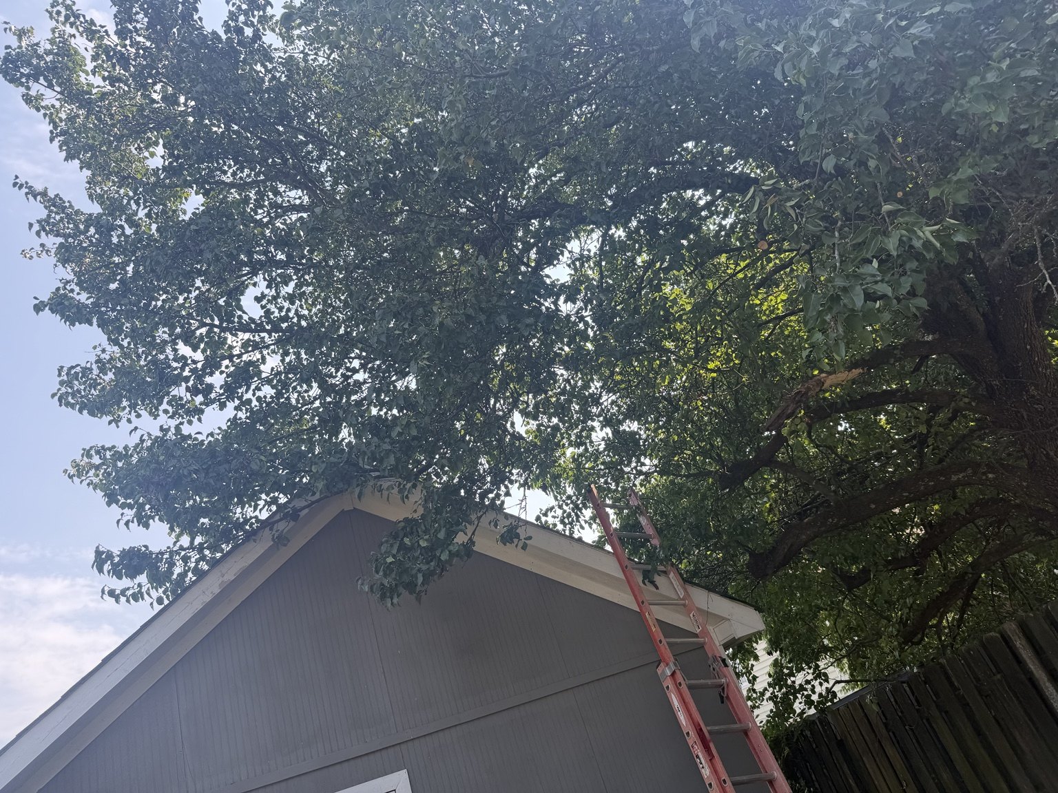 Tree trimming around a structure