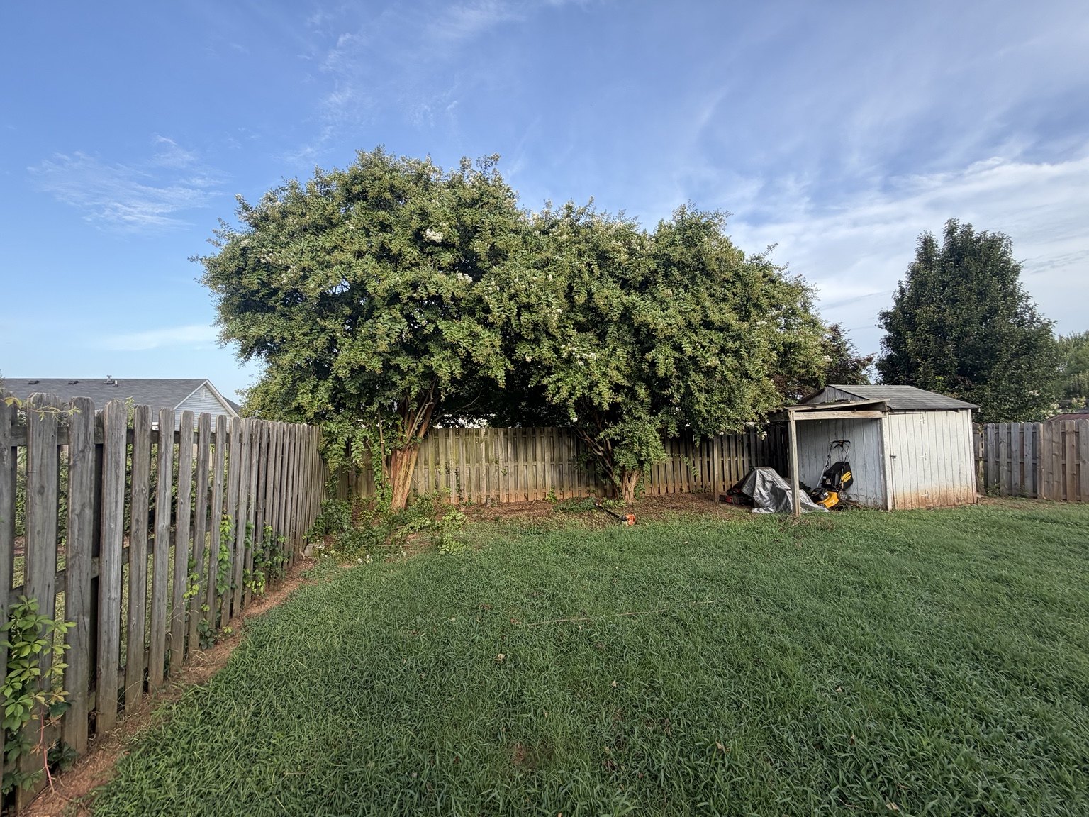 Yard cleanup after
