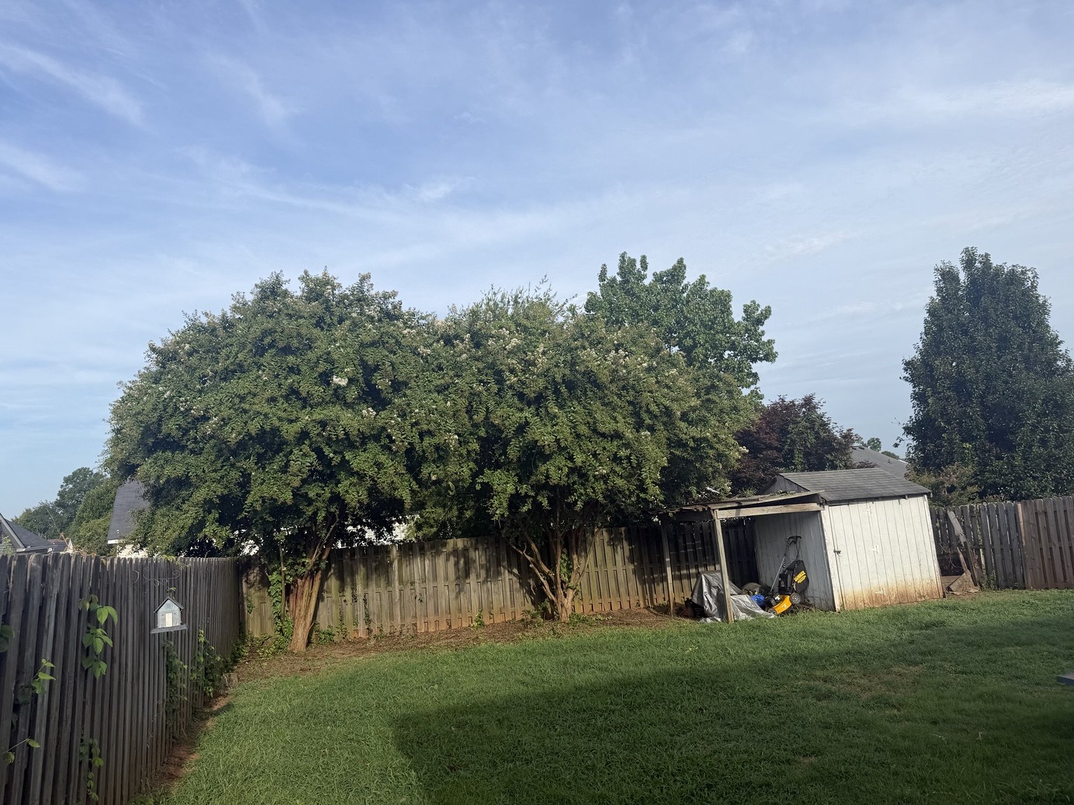 Property cleanup before